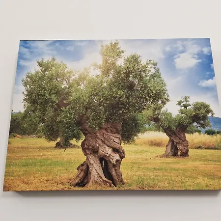 Prázdninový dům Le Tre Anfore Ceglie Messapica