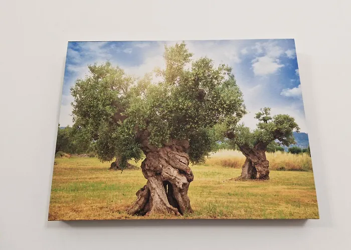 בית נופש Le Tre Anfore צ'לייה מספיקה